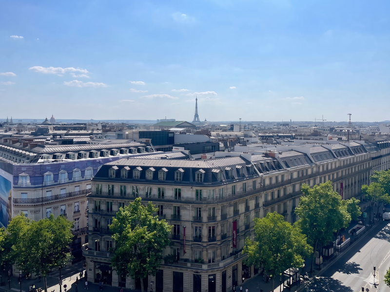 View of Paris from the Entropia office